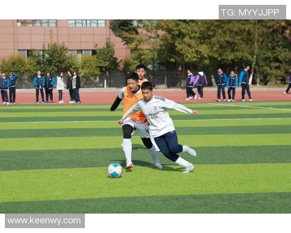 臣字足球球星带你了解绿茵场上的拼搏精神与团队协作魅力 臣字足球球星带你了解绿茵场上的拼搏精神与团队协作魅力